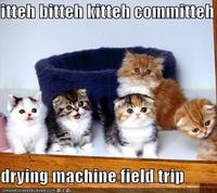Itteh Bitteh Kitteh Committeh