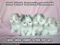 Itteh Bitteh Kitteh Committeh