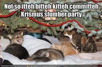 Itteh Bitteh Kitteh Committeh