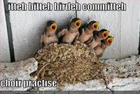 Itteh Bitteh Kitteh Committeh