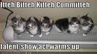 Itteh Bitteh Kitteh Committeh