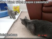 Itteh Bitteh Kitteh Committeh