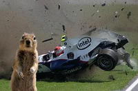 Crasher Squirrel