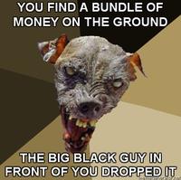 Cynical Dog