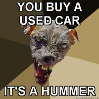Cynical Dog