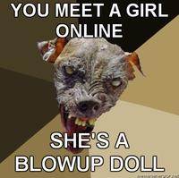 Cynical Dog