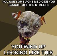 Cynical Dog