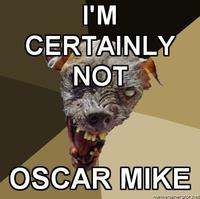 Cynical Dog