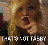 Tabby