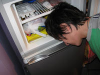 241543903 / Heads In Freezers
