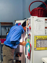 241543903 / Heads In Freezers