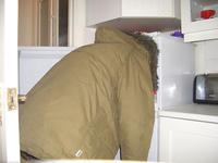 241543903 / Heads In Freezers