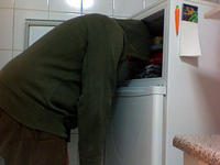 241543903 / Heads In Freezers