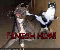 FINISH HIM! / FATALITY / Fake Fatalities
