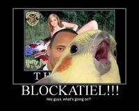 Blockatiel