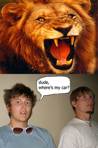 Jesus Christ It's a Lion Get In The Car!