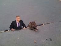 Sad_rat_sidewalk_15