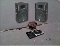 Sad Rat