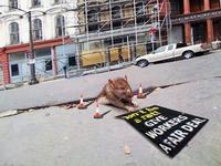 Sad Rat