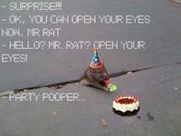Sad Rat