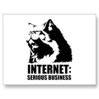 The Internet is Serious Business