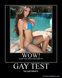 Gay Test
