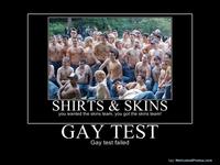Gay Test