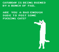Bad Dudes