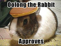 Pancake Bunny