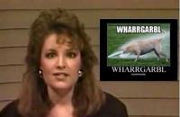 WHARRGARBL / Sprinkler Dog