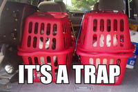 It's A Trap!