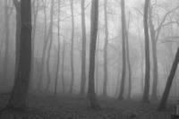 Slender Man