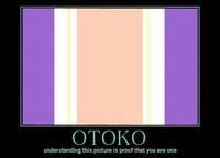 Otaku Test