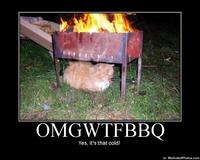 OMGWTFBBQ