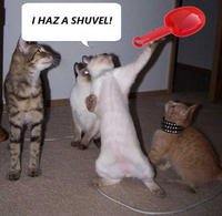 I Has A Shuvel