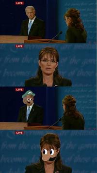 Biden / Palin Debate 4pane