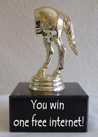 You Win the Internet!