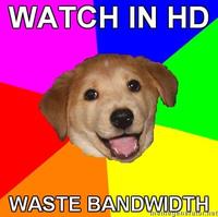 Advice Dog