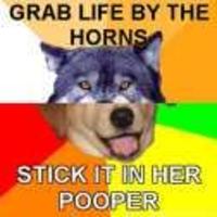Combo Dog