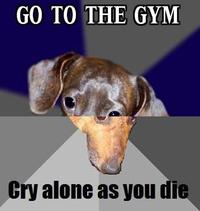 Combo Dog