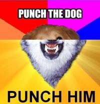 Combo Dog