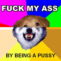 Combo Dog