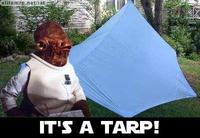 It's A Trap!