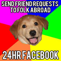 Advice Dog