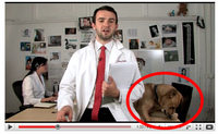 dog.png