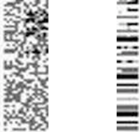 pokemon glitches