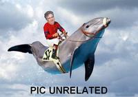 Picture Unrelated