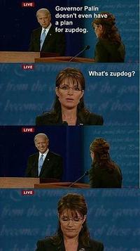 Biden / Palin Debate 4pane