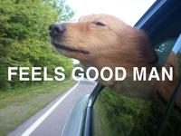 Feels Good Man
