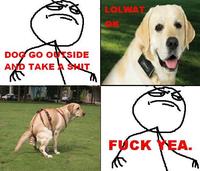 F*ck Yea